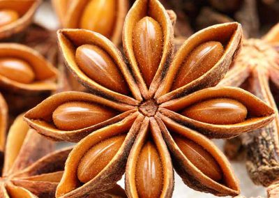 Star Anise