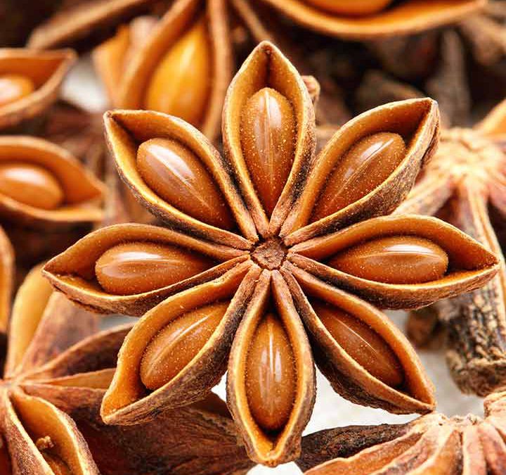 Star Anise