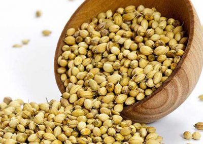 Coriander Seeds